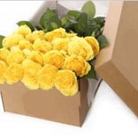 Best Wishes
